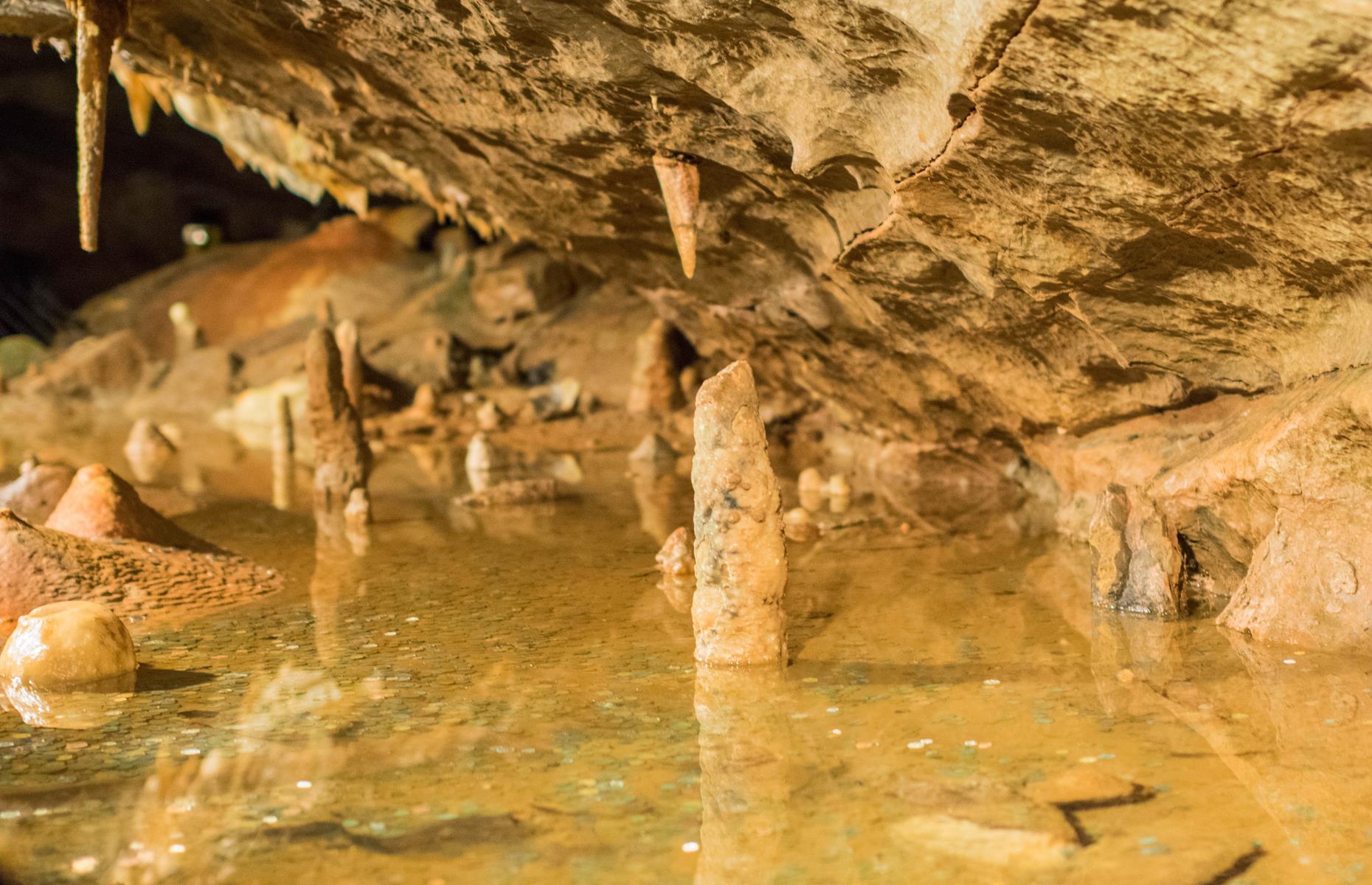 Cheddar Gorge, Somerset